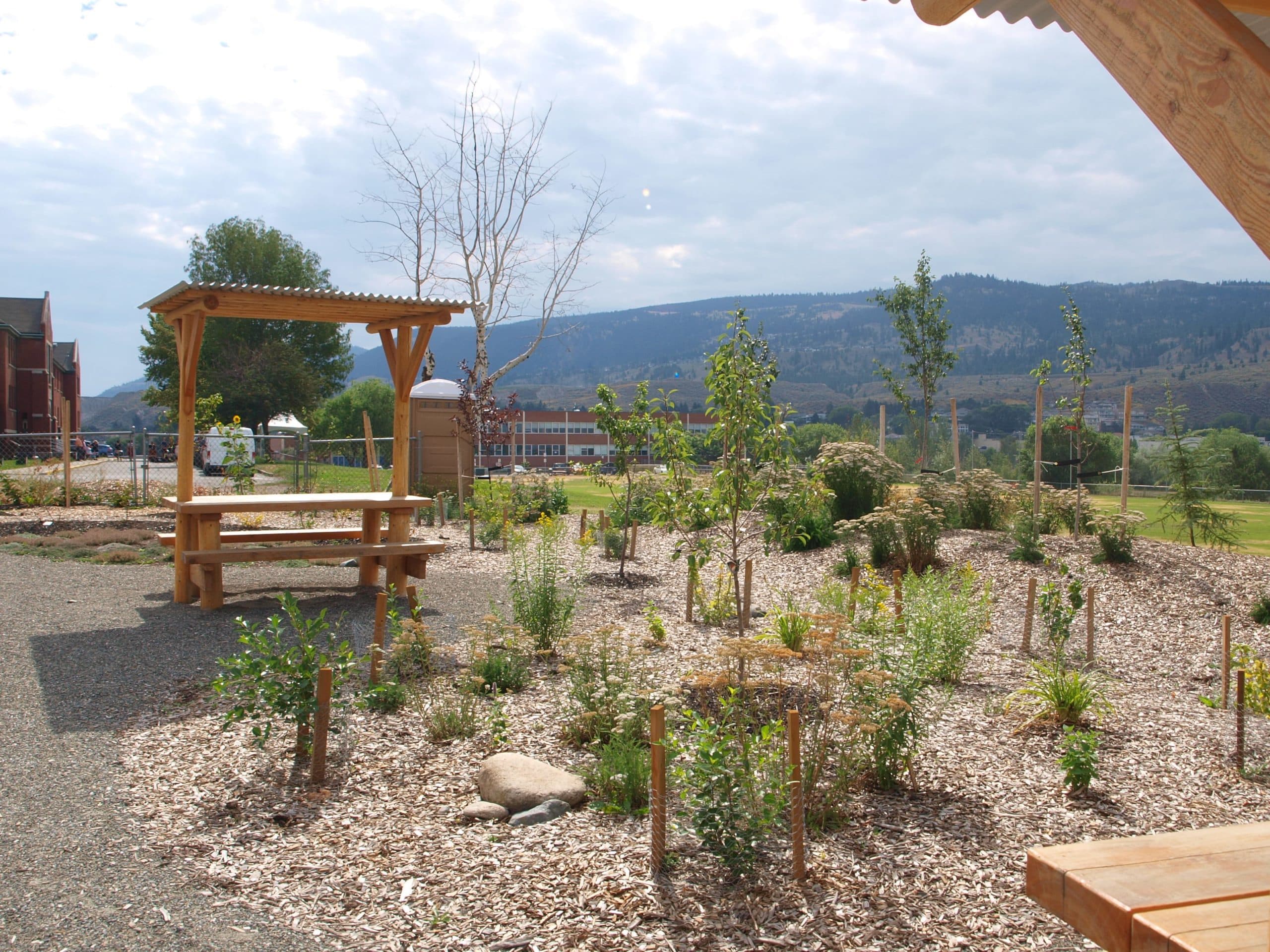 The Berry Walk garden is a living memorial for Le Estcwicwéy̓ and a place for community to gather, a bridge between generations located between the Sk'elep School of Excellence and the former Kamloops Indian Residential School.