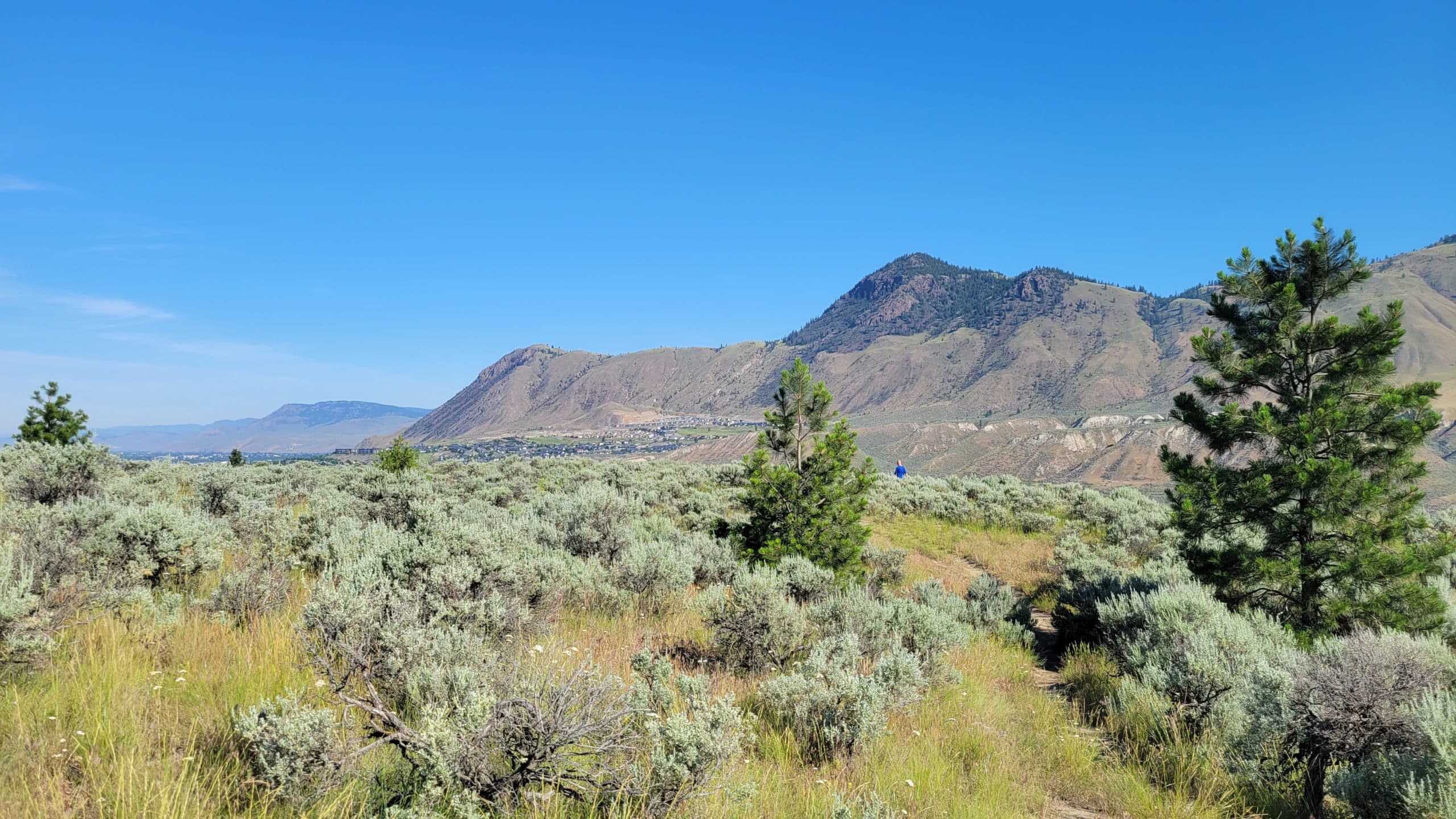 A desert landscape is set in front of bright blue skies.