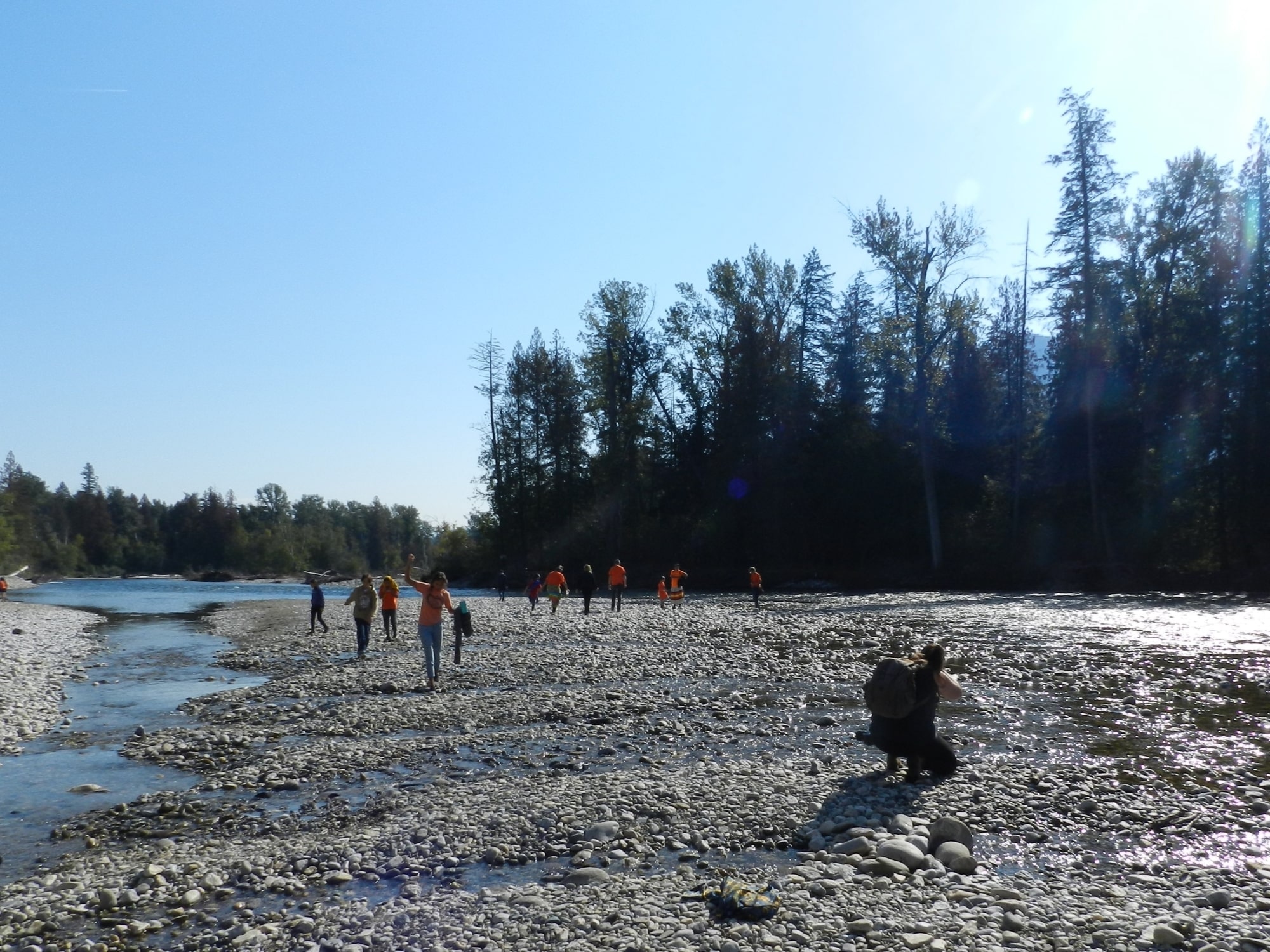 Individuals and families walk between streams on the Lower Adams River pebble beach.