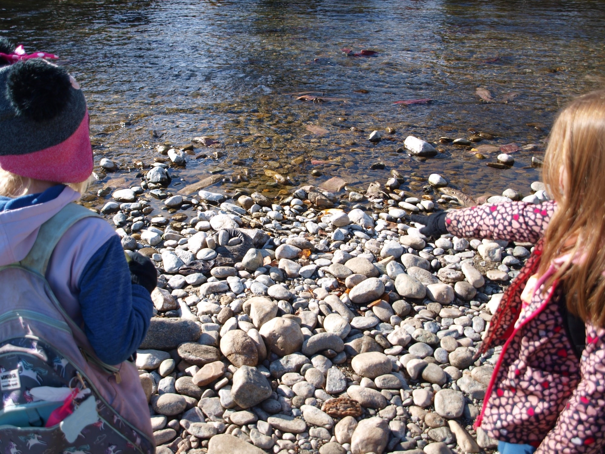 An eager student points at a dead salmon's carcass along the water's edge.