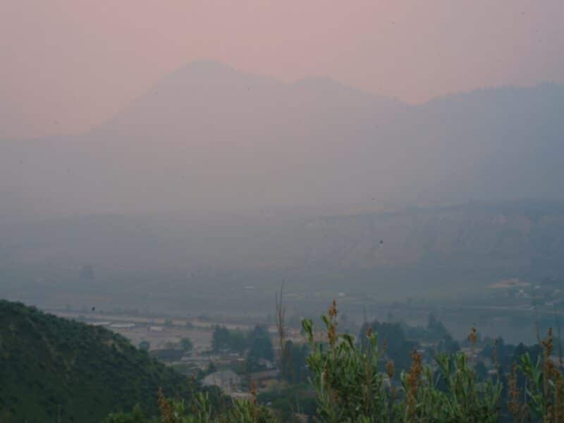 Smoky skies descend on Kamloops due to wildfires burning out of control in B.C. The image feature sage brush in front of a mountain nearly erased from view because of heavy smoke.