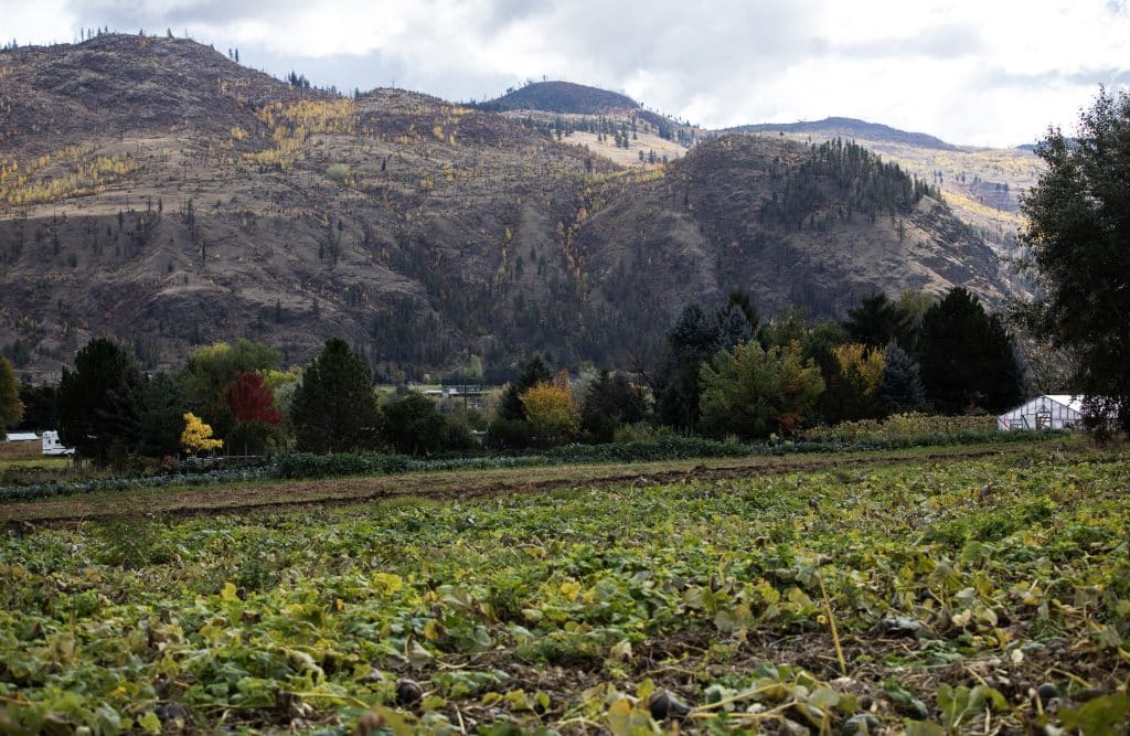 a Noble Creek Irrigation System user lives near strawberry hill, which is pictured. It shows a mountain rage with sparse trees, indicating there was. wildfire there. 