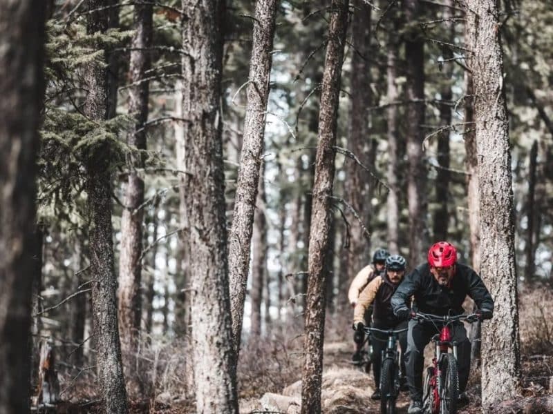 Three bikers are shown in a line coming towards the camera. There are tall pine trees surrounding them.