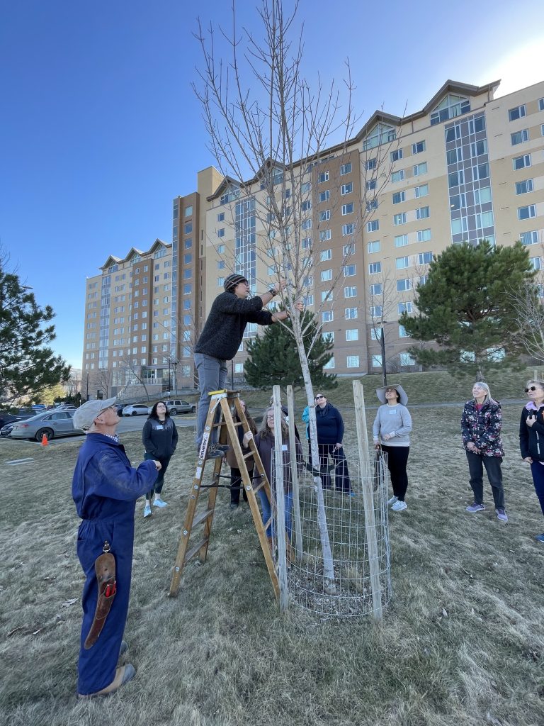 People gathered around a tree, one person is on a ladder for a pruning class during the spring for the new master gardener training during the spring. Photo submission by Corene McKay.
