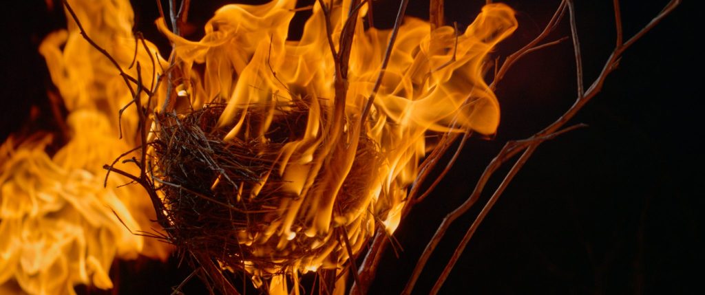Incandescence film