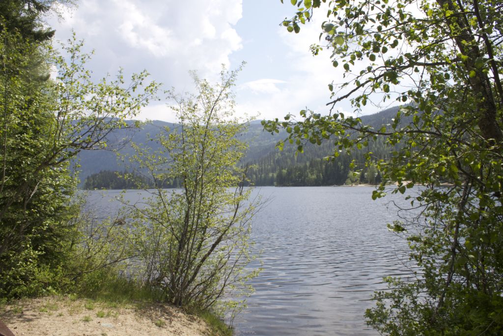 Photo of East Barrière Lake
surrounded by trees. Camping sites near Kamloops